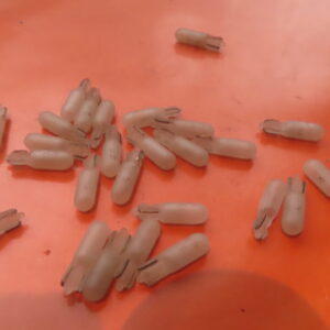 AMO523M LAMPARA CUÑA 12Vols 1,2 Watios T-5 (W2x4,6d) Mate Frosted