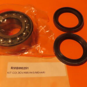 RMBM0251 RODAMIENTO RUEDA  DELANTERA y TRASERO CITROEN 3CV AKS C400 desde 1970 a 1978 CITROEN AXEL desde 1984 a 1990 CITROEN AMI-6 AMI-8 Super ARCADINE desde 1978 a 1988 CITROEN MEHARI